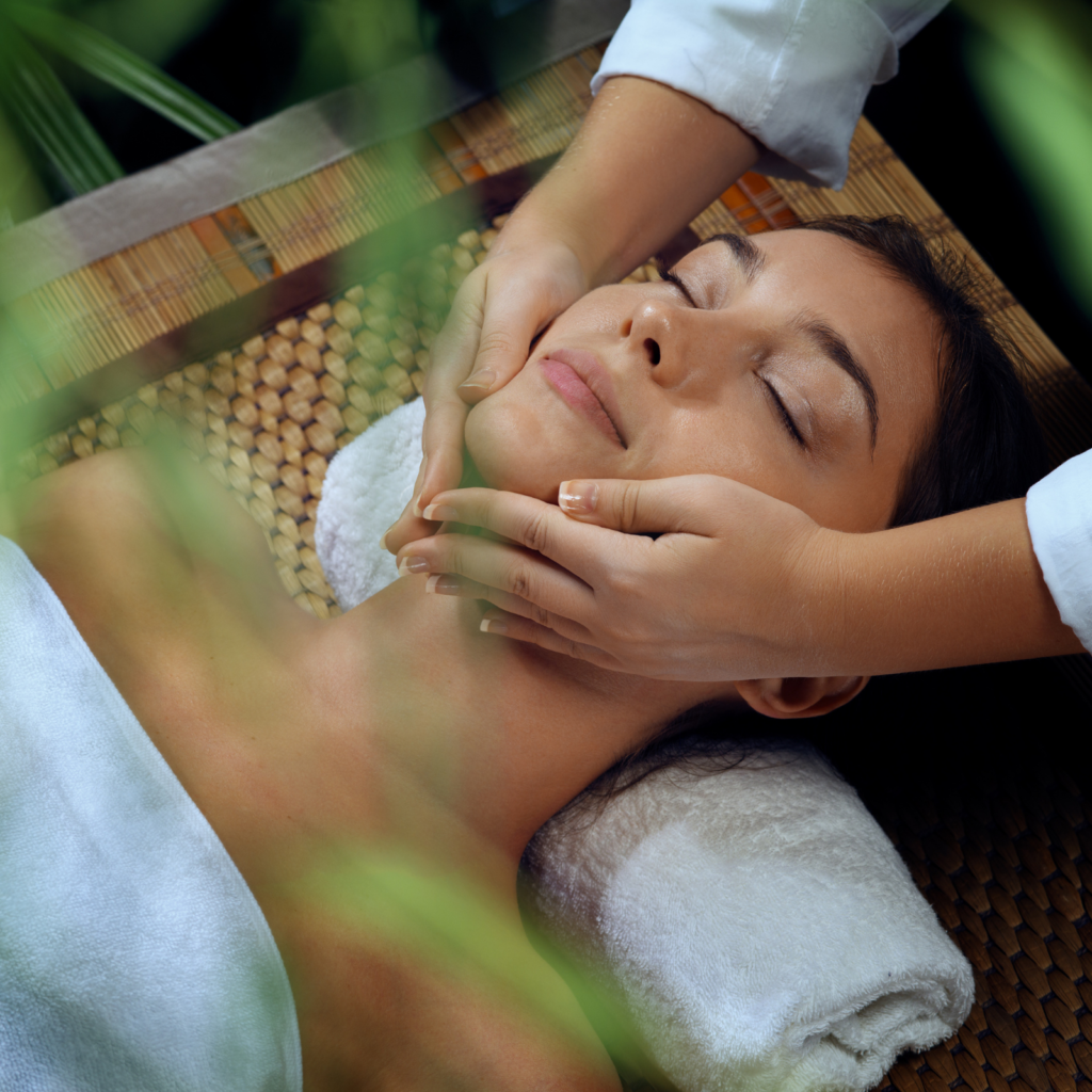 TRADITIONAL AYURVEDIC MEDICINES